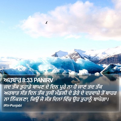 ਅਹਬਾਰ 8:33 PANIRV Bible Verse Image