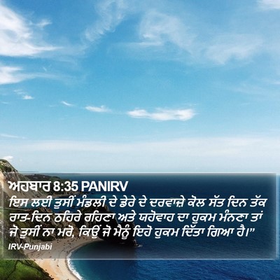 ਅਹਬਾਰ 8:35 PANIRV Bible Verse Image