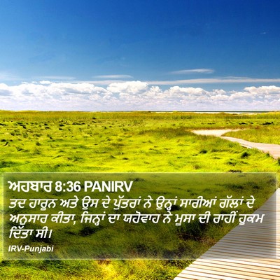 ਅਹਬਾਰ 8:36 PANIRV Bible Verse Image