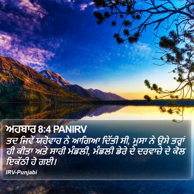 ਅਹਬਾਰ 8:4 PANIRV Bible Verse Image