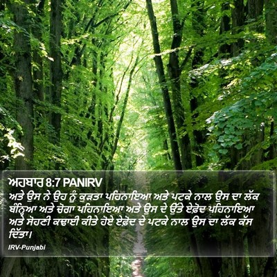 ਅਹਬਾਰ 8:7 PANIRV Bible Verse Image