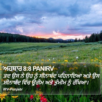 ਅਹਬਾਰ 8:8 PANIRV Bible Verse Image