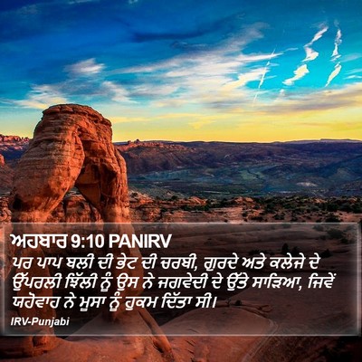 ਅਹਬਾਰ 9:10 PANIRV Bible Verse Image