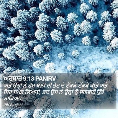 ਅਹਬਾਰ 9:13 PANIRV Bible Verse Image