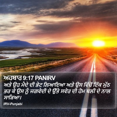 ਅਹਬਾਰ 9:17 PANIRV Bible Verse Image