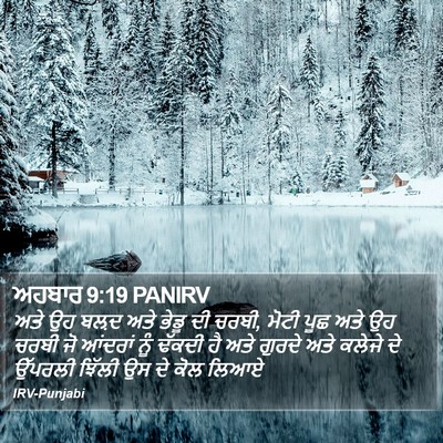 ਅਹਬਾਰ 9:19 PANIRV Bible Verse Image
