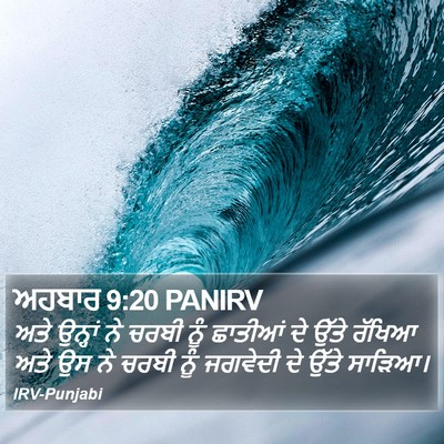 ਅਹਬਾਰ 9:20 PANIRV Bible Verse Image