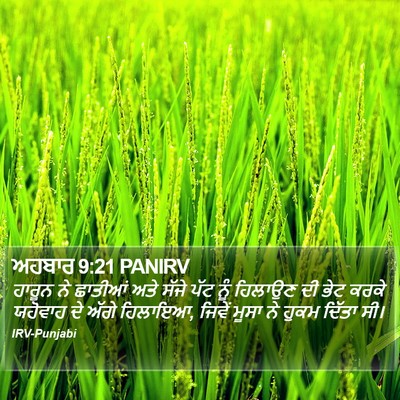 ਅਹਬਾਰ 9:21 PANIRV Bible Verse Image