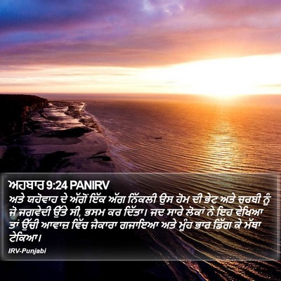 ਅਹਬਾਰ 9:24 PANIRV Bible Verse Image