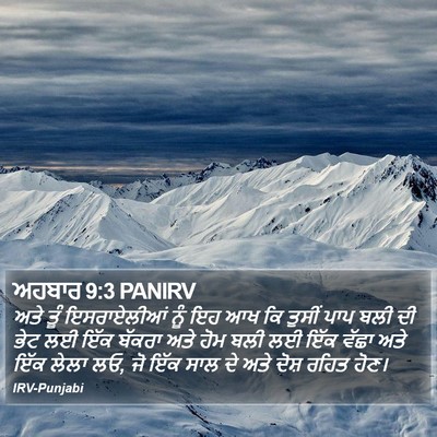 ਅਹਬਾਰ 9:3 PANIRV Bible Verse Image