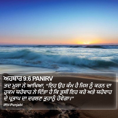 ਅਹਬਾਰ 9:6 PANIRV Bible Verse Image