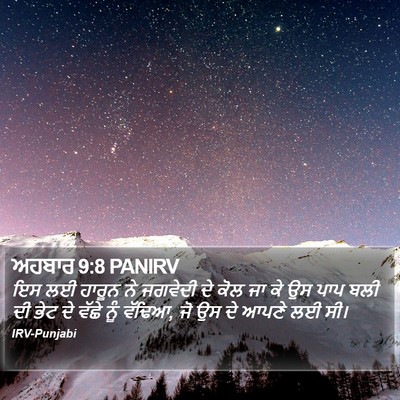ਅਹਬਾਰ 9:8 PANIRV Bible Verse Image