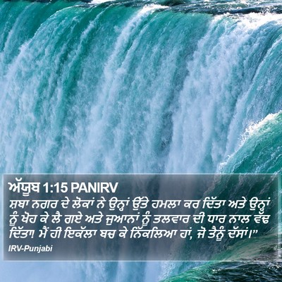 ਅੱਯੂਬ 1:15 PANIRV Bible Verse Image