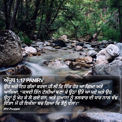 ਅੱਯੂਬ 1:17 PANIRV Bible Verse Image