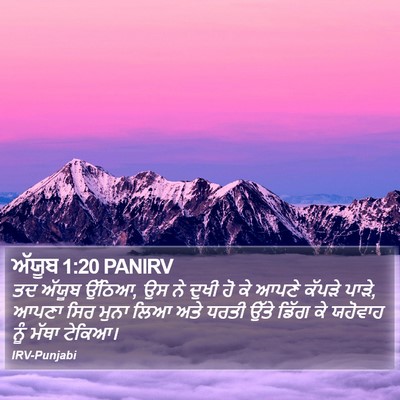 ਅੱਯੂਬ 1:20 PANIRV Bible Verse Image