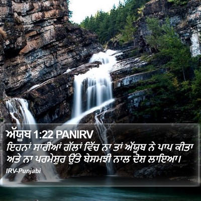 ਅੱਯੂਬ 1:22 PANIRV Bible Verse Image