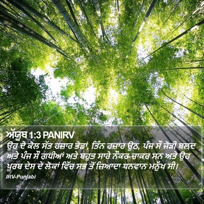 ਅੱਯੂਬ 1:3 PANIRV Bible Verse Image