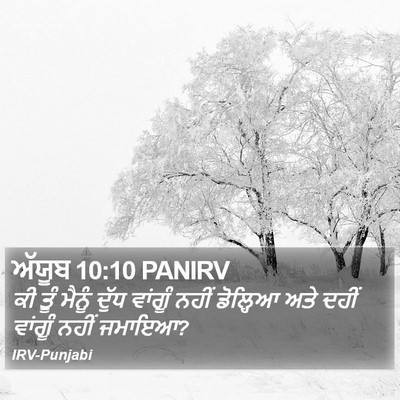 ਅੱਯੂਬ 10:10 PANIRV Bible Verse Image