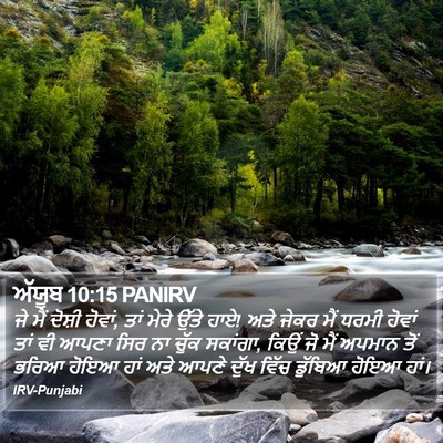 ਅੱਯੂਬ 10:15 PANIRV Bible Verse Image