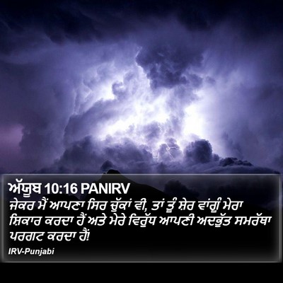 ਅੱਯੂਬ 10:16 PANIRV Bible Verse Image