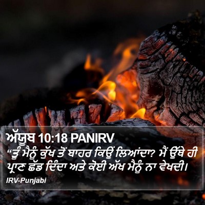 ਅੱਯੂਬ 10:18 PANIRV Bible Verse Image