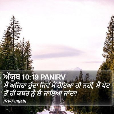 ਅੱਯੂਬ 10:19 PANIRV Bible Verse Image