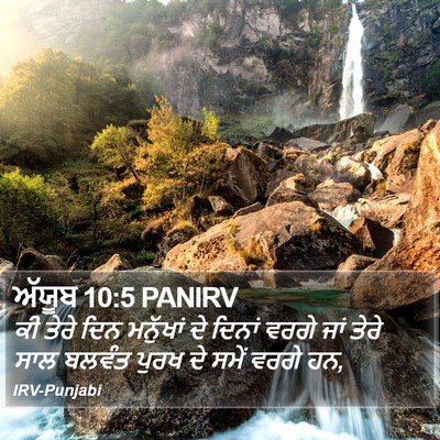 ਅੱਯੂਬ 10:5 PANIRV Bible Verse Image