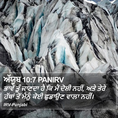 ਅੱਯੂਬ 10:7 PANIRV Bible Verse Image