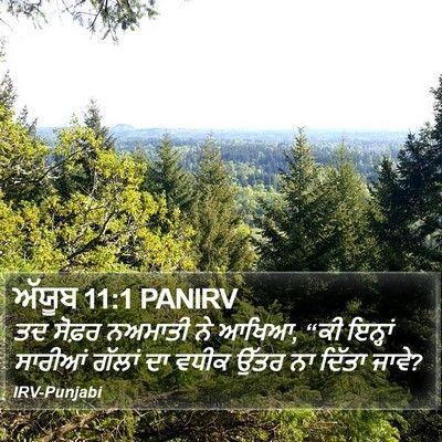 ਅੱਯੂਬ 11:1 PANIRV Bible Verse Image