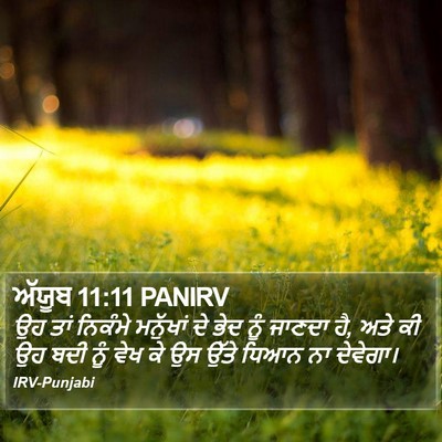 ਅੱਯੂਬ 11:11 PANIRV Bible Verse Image