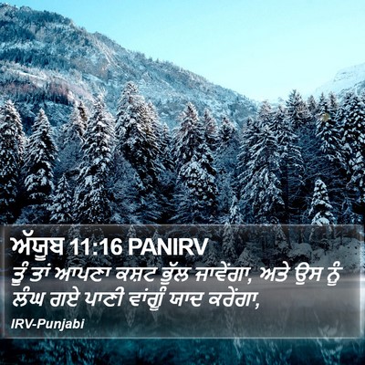 ਅੱਯੂਬ 11:16 PANIRV Bible Verse Image