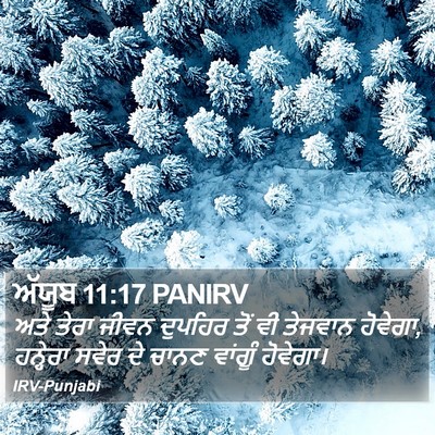 ਅੱਯੂਬ 11:17 PANIRV Bible Verse Image