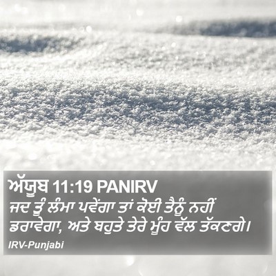 ਅੱਯੂਬ 11:19 PANIRV Bible Verse Image