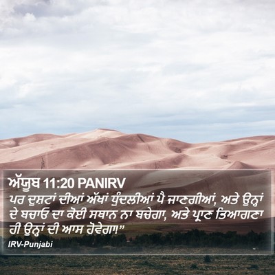 ਅੱਯੂਬ 11:20 PANIRV Bible Verse Image