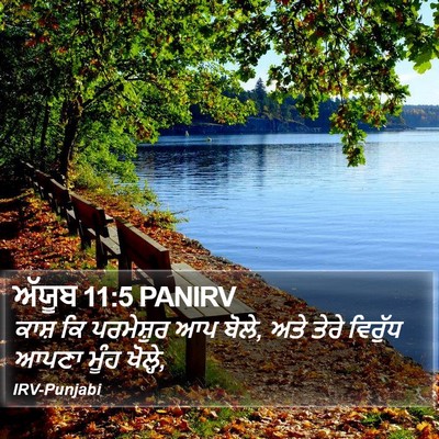 ਅੱਯੂਬ 11:5 PANIRV Bible Verse Image