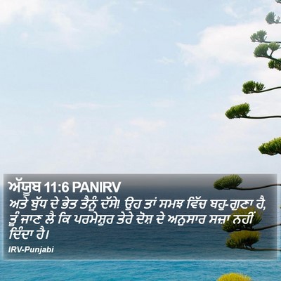 ਅੱਯੂਬ 11:6 PANIRV Bible Verse Image
