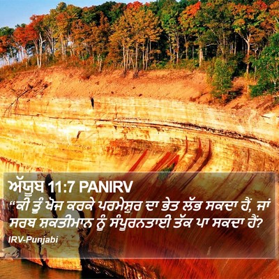 ਅੱਯੂਬ 11:7 PANIRV Bible Verse Image