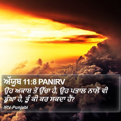 ਅੱਯੂਬ 11:8 PANIRV Bible Verse Image