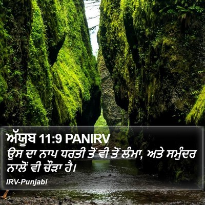 ਅੱਯੂਬ 11:9 PANIRV Bible Verse Image