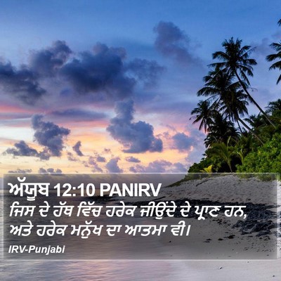 ਅੱਯੂਬ 12:10 PANIRV Bible Verse Image