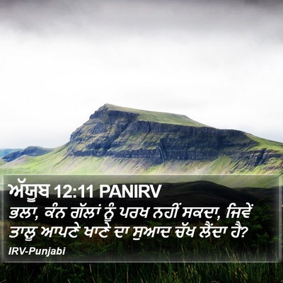 ਅੱਯੂਬ 12:11 PANIRV Bible Verse Image