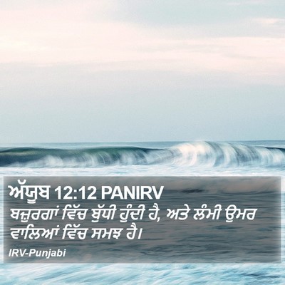 ਅੱਯੂਬ 12:12 PANIRV Bible Verse Image