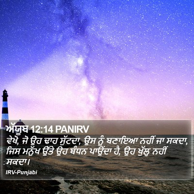 ਅੱਯੂਬ 12:14 PANIRV Bible Verse Image