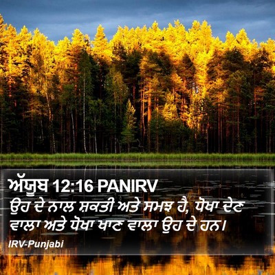ਅੱਯੂਬ 12:16 PANIRV Bible Verse Image