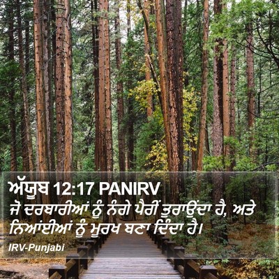 ਅੱਯੂਬ 12:17 PANIRV Bible Verse Image