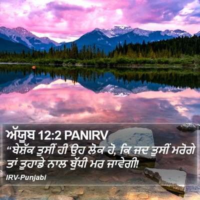 ਅੱਯੂਬ 12:2 PANIRV Bible Verse Image