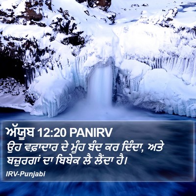 ਅੱਯੂਬ 12:20 PANIRV Bible Verse Image