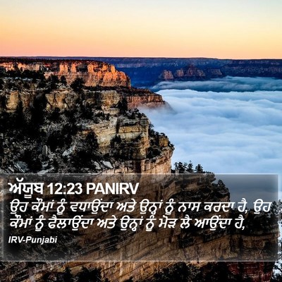 ਅੱਯੂਬ 12:23 PANIRV Bible Verse Image