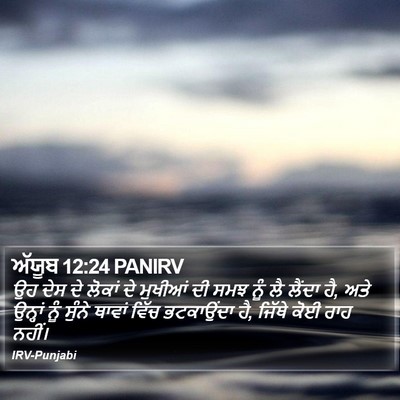 ਅੱਯੂਬ 12:24 PANIRV Bible Verse Image
