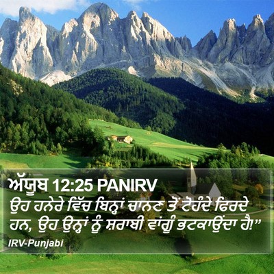 ਅੱਯੂਬ 12:25 PANIRV Bible Verse Image